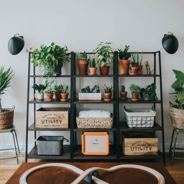 Minimalist Yaşam Tarzının Faydaları ve Başlama Rehberi